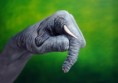 /album/photogallery/hands-12-jpg/