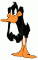 /album/photogallery/daffy-gif/